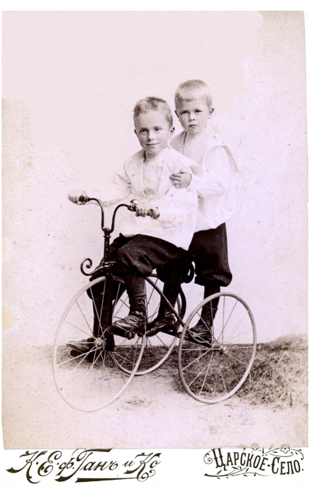 Будущий академик Сережа Аничков с братом Всеволодом