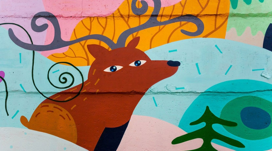 "Тепло Севера", Plushedelica