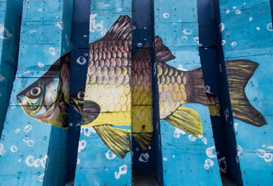 "Живое серебро", Александр Reliz Дергачев