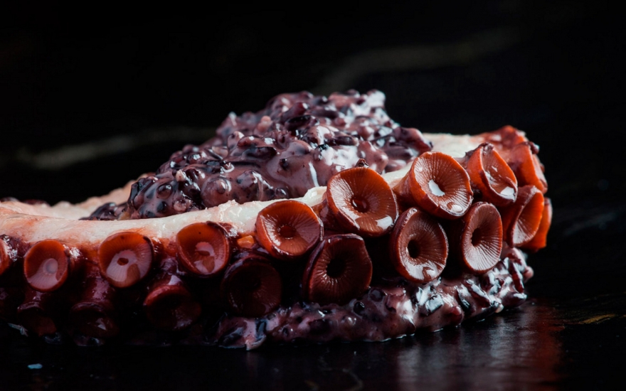 Осьминог в Duo