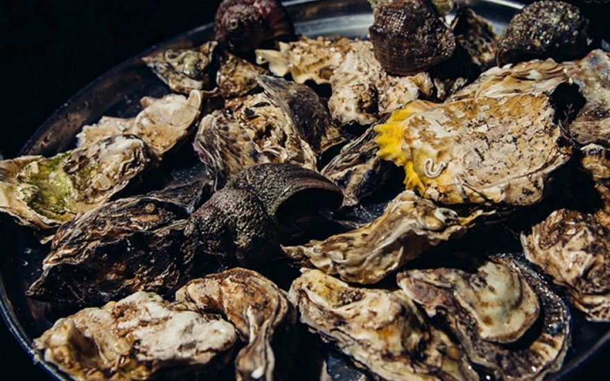 Набор устриц и моллюсков из девяти морей в Ama