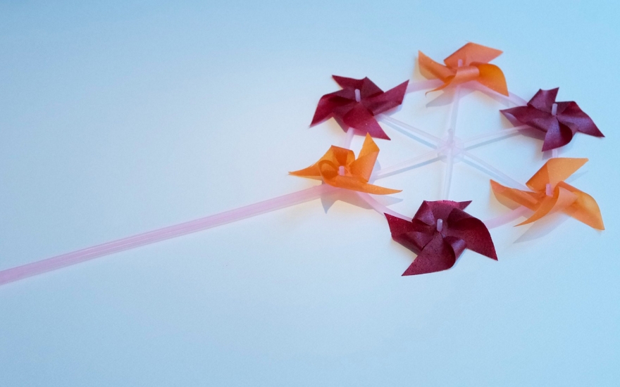 "Вертушка". Пастила из облепихи и клюквы в "Кококо"