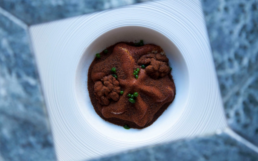 Грецкий орех с муссом из белых грибов и пудрой из чернослива в EM