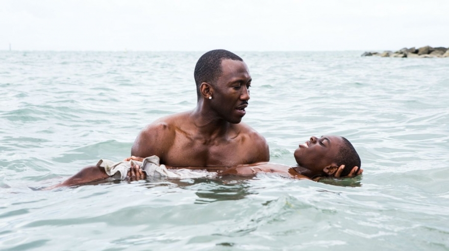 «Лунный свет»