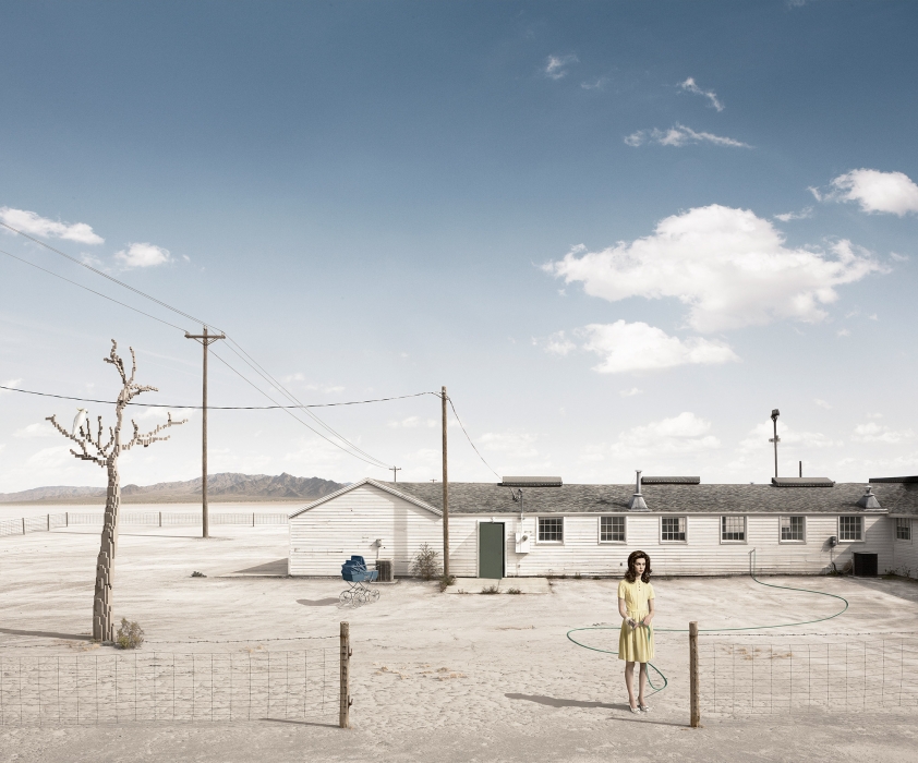 Серия In Pieces (дерево сделано Lego Tree)