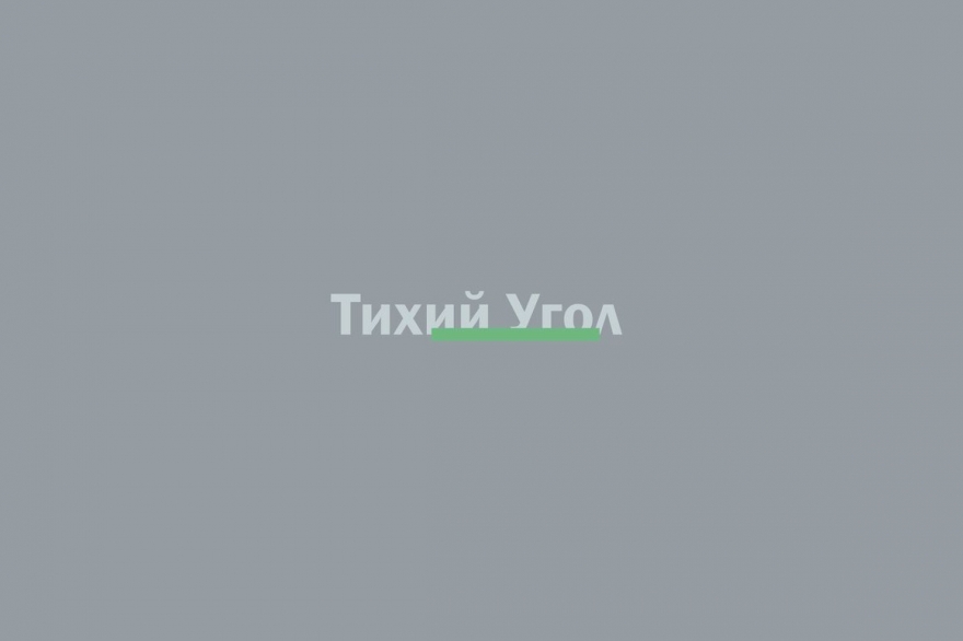 Вторник, 14 марта Январский эксперимент «Угла» удался - на запланированный час тишины пришла восьмерка первооткрывателей, а последний посетитель вышел