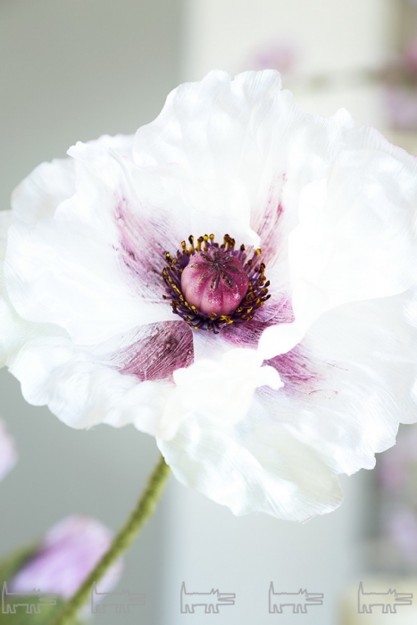 Коллекция весна-лето 2017, фабрика SIA, Франция