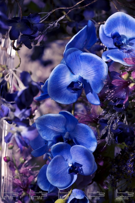 Коллекция весна-лето 2017, фабрика SIA, Франция