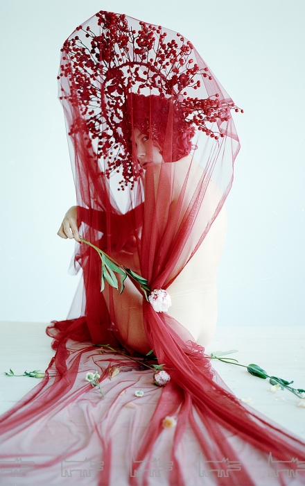 «Исчезающая пленка» (2015) отобрана для выставки «Сотворенная жизнь» в галерее Anna Nova.