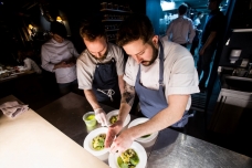 Антонио Фреза