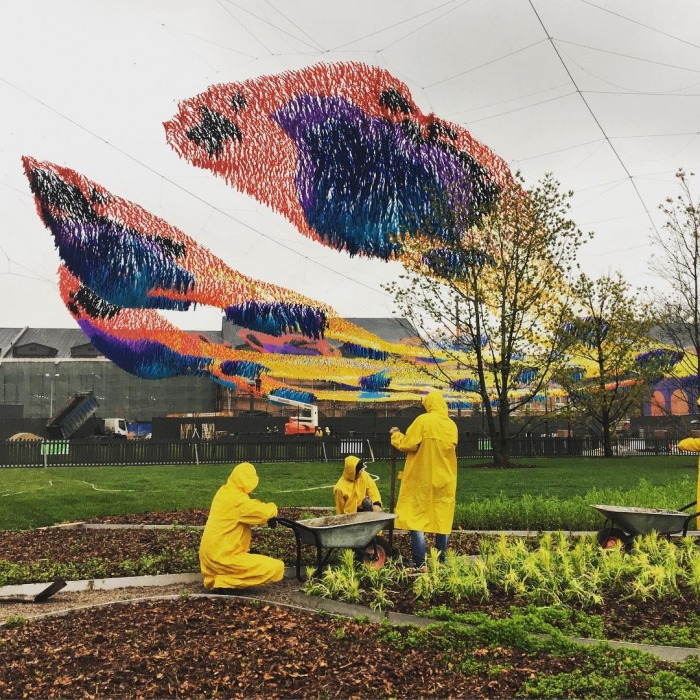 «Жар-птица»