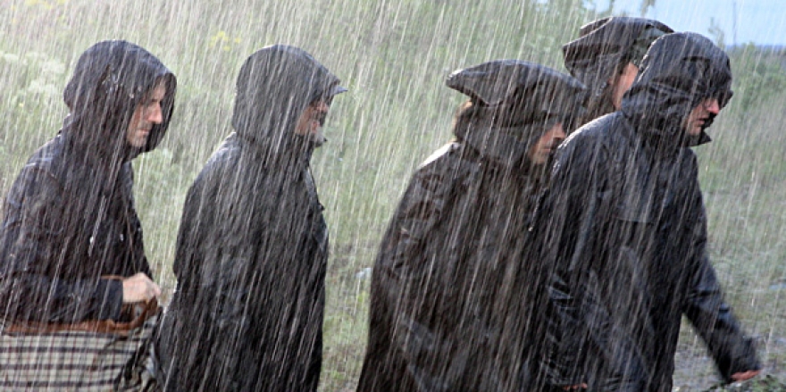 «Гадкие лебеди»