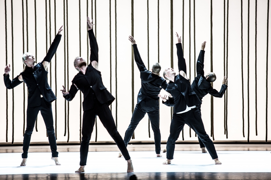 «Позврослевшие»