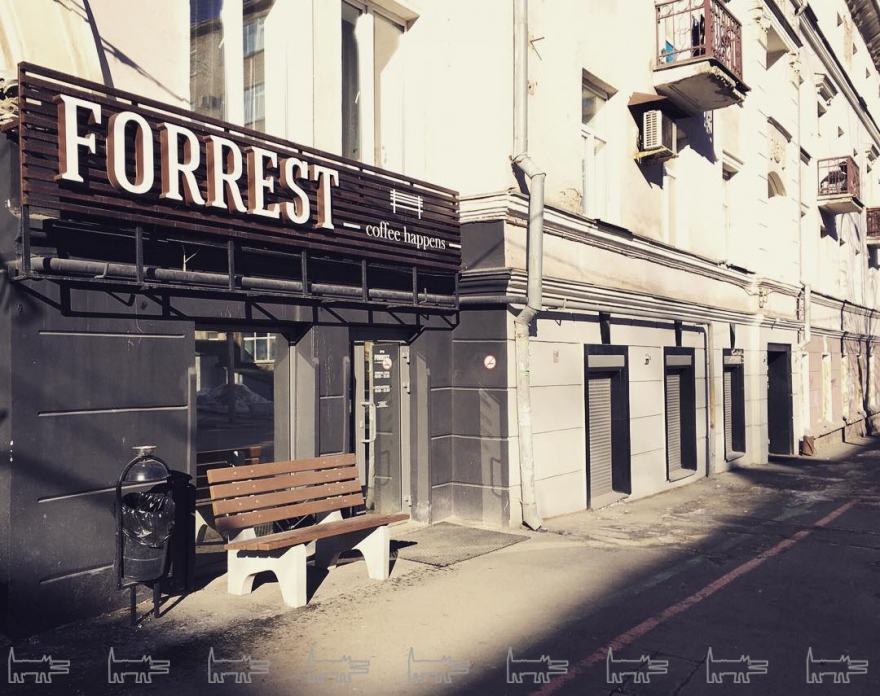Источник фото: Forrest