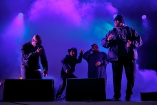 Группа «Грибы»