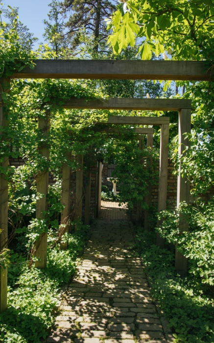 Дорожка поднимается вверх, а перголы уменьшаются в высоте, создавая иллюзию сужения пространства.