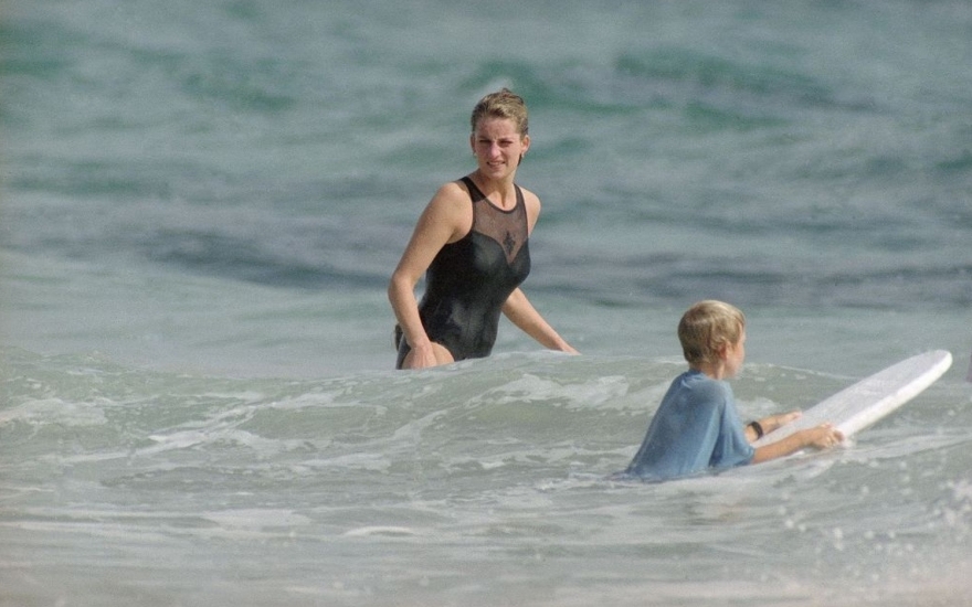 Принцесса Диана, 1993 год