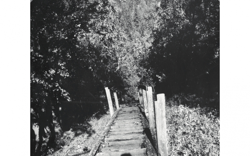 Фотографии, сделанные Д. С. Лихачевым во время посещения им Соловков в 1966 году: вид с Секирной горы, на которой находился изолятор.