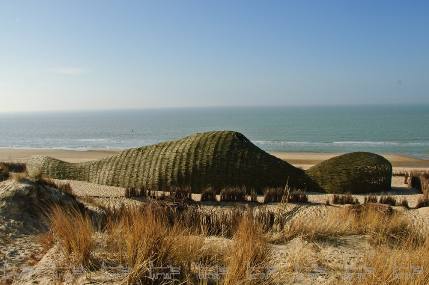 Sandworm, триеннале, Бельгия, 2012 год