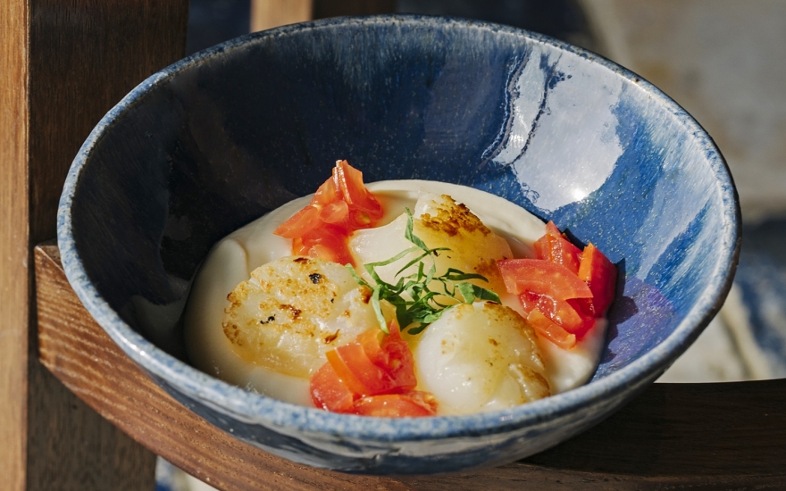 Гребешки с капустным кремом