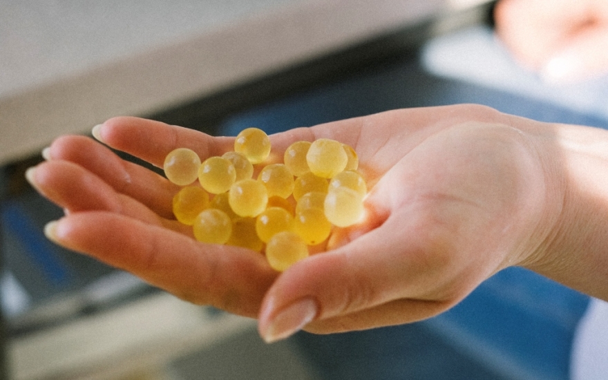 Первая поездка Кати Алагич на Калининградский Янтарный Комбинат