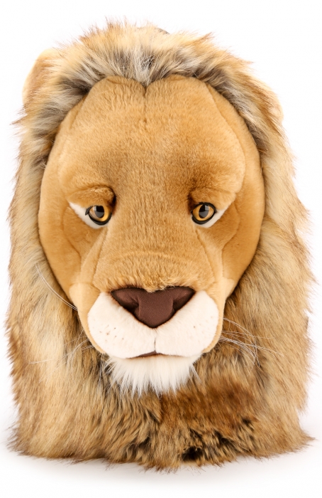 Мужской рюкзак Dolce & Gabbana, 82 150 рублей