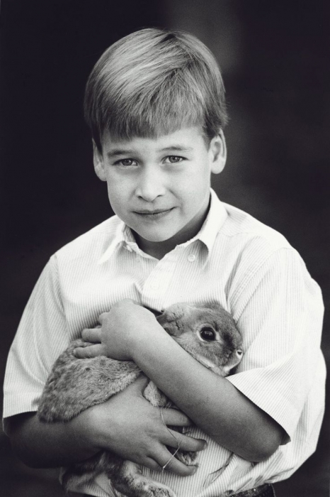 Юный принц Ульям