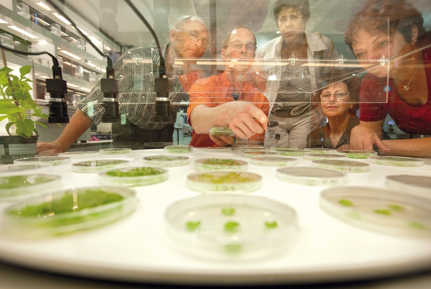 Биолаборатория в Ars Electronica Center