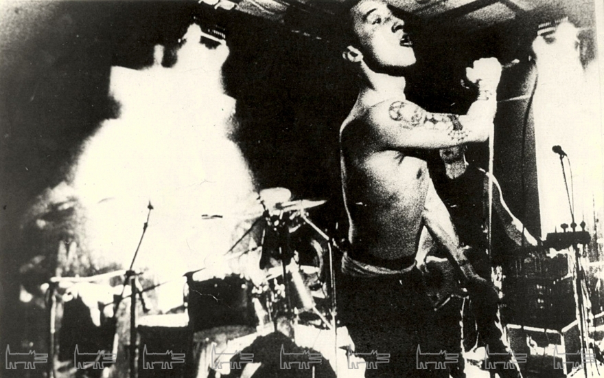 Группа Dolphins