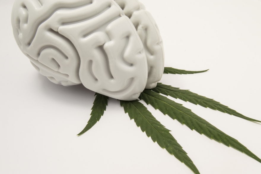 мозг и марихуана