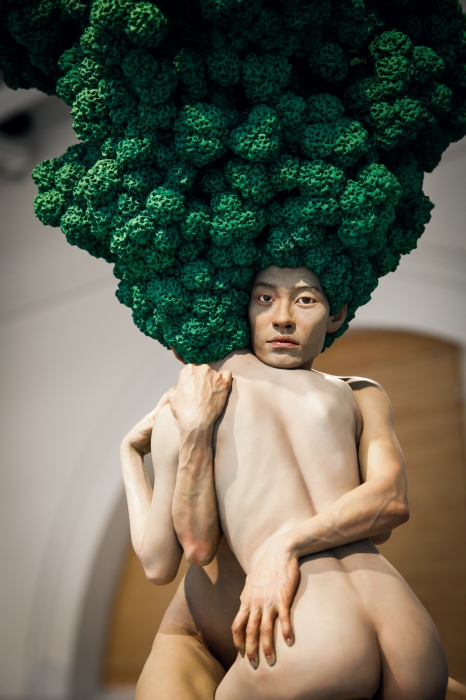 "Лесные мечтатели", 2015 г.