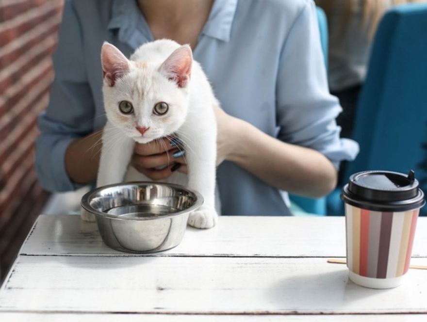 Фото Натальи Малыхиной