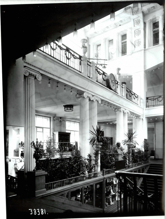 Оранжерея в ДЛТ, 1940-50-е годы