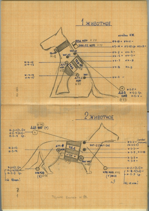 Тетрадь Газенко (1960) 047