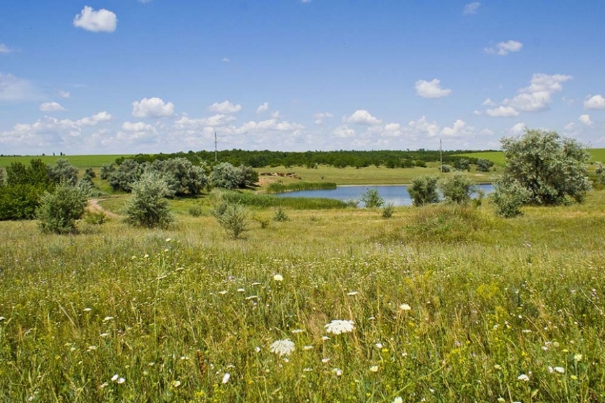 Фото Вадима Заблоцкого