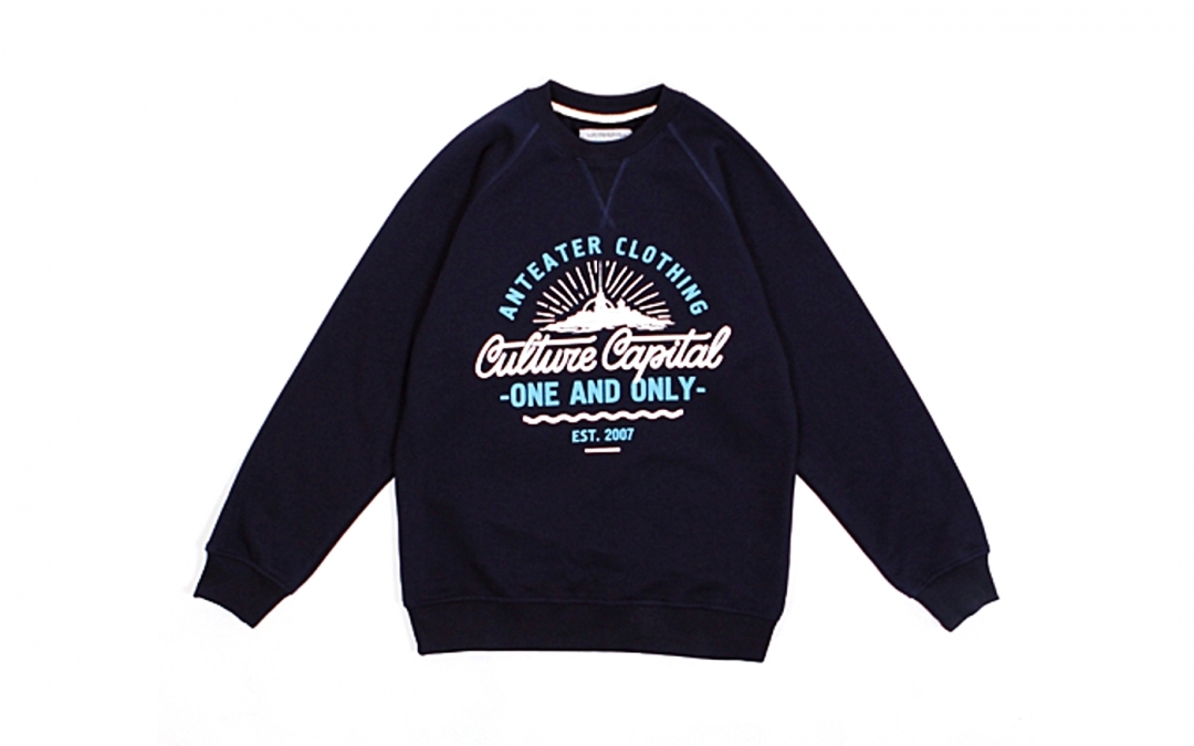 Свитшот Anteater Clothing, 2699 рублей (Creamshop)