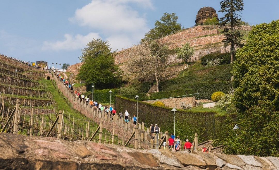 Фото: официальная группа Mt. Everest Treppenmarathon на Facebook, @treppenmarathon