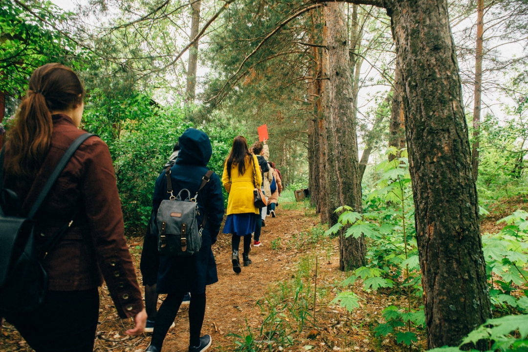 «Время роста деревьев»