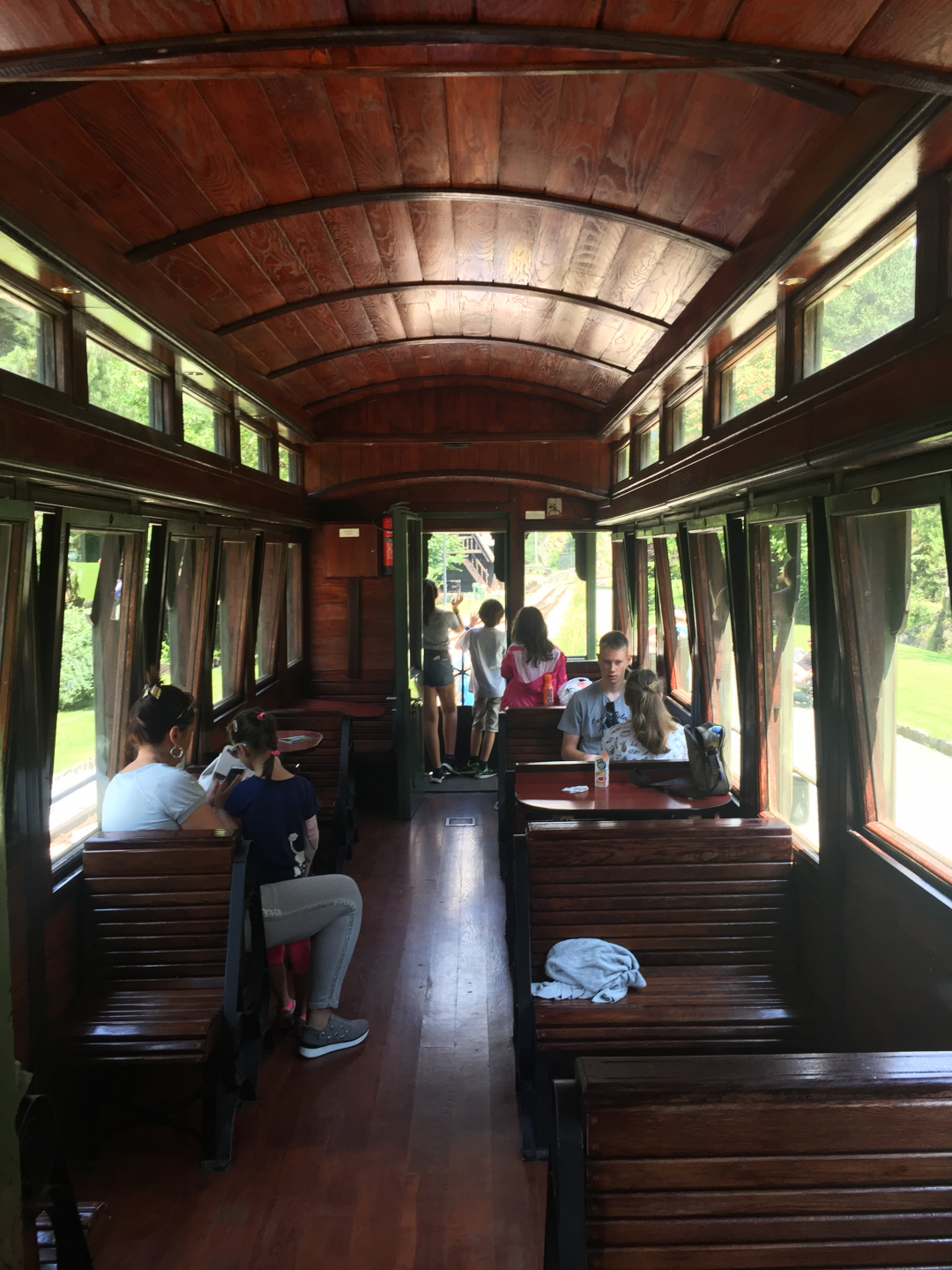 Вид из вагона поезда