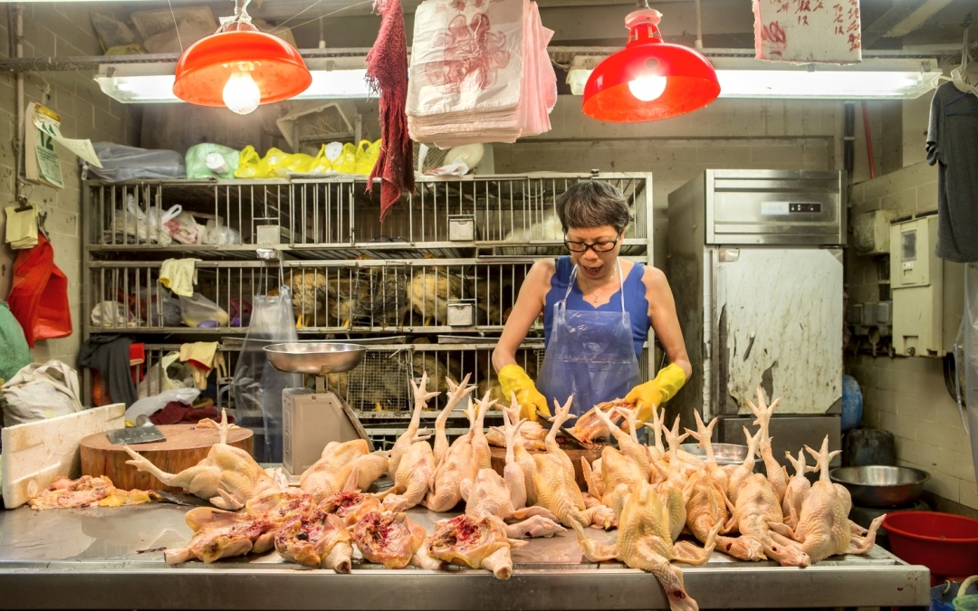 В китайской кухне используются почти все части тушки птицы