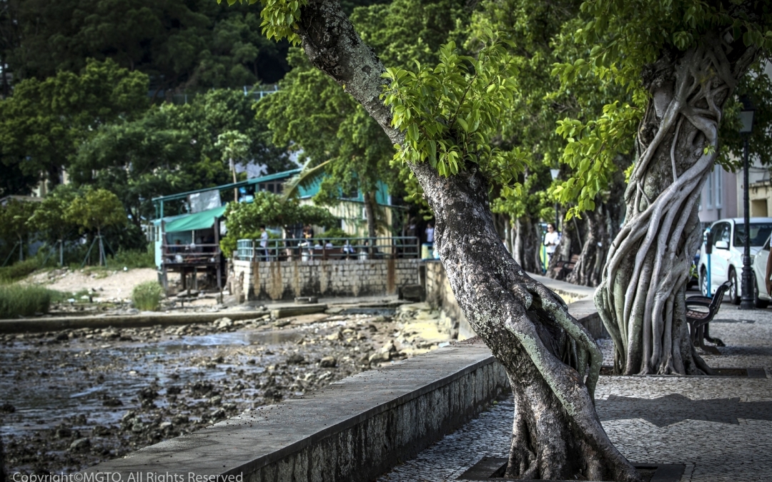 Набережная на острове Колоан