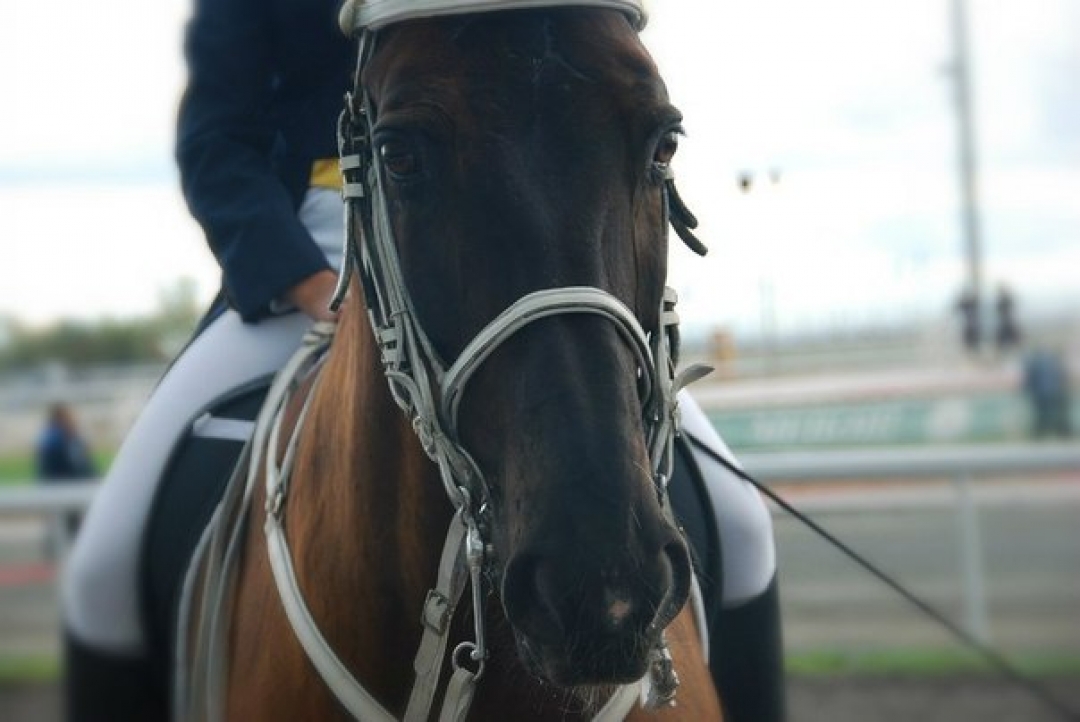 Фото: Валерия Комкова