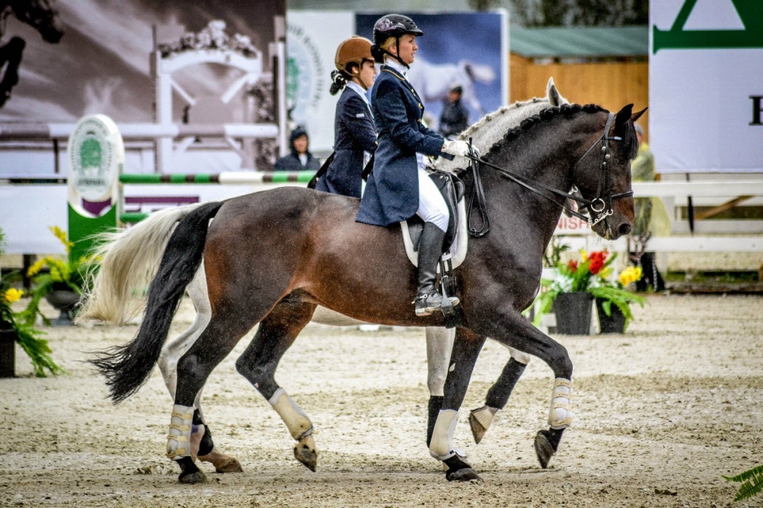 Фото: Валерия Комкова