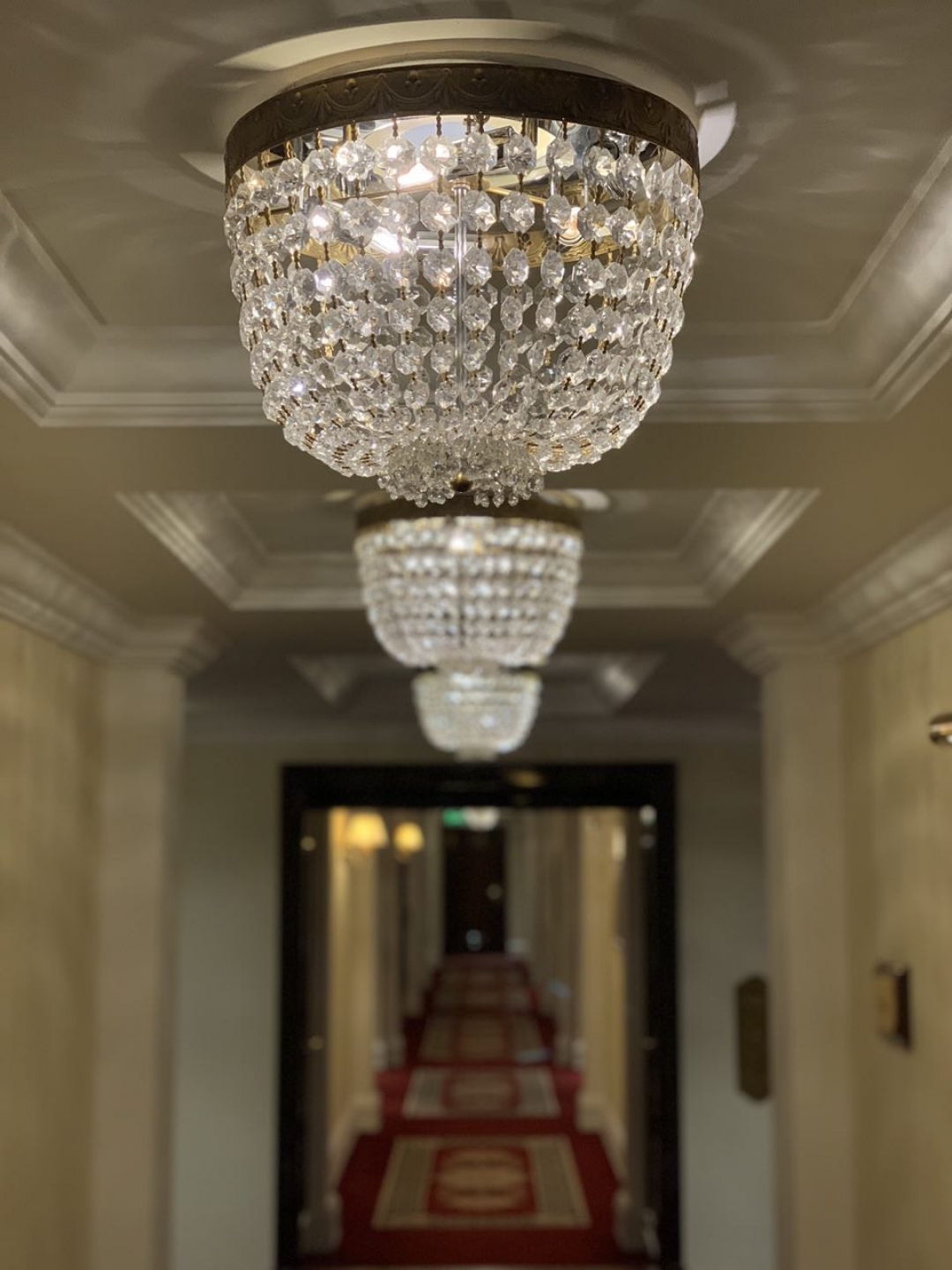 Режим портретной съемки на iPhone Xs Max