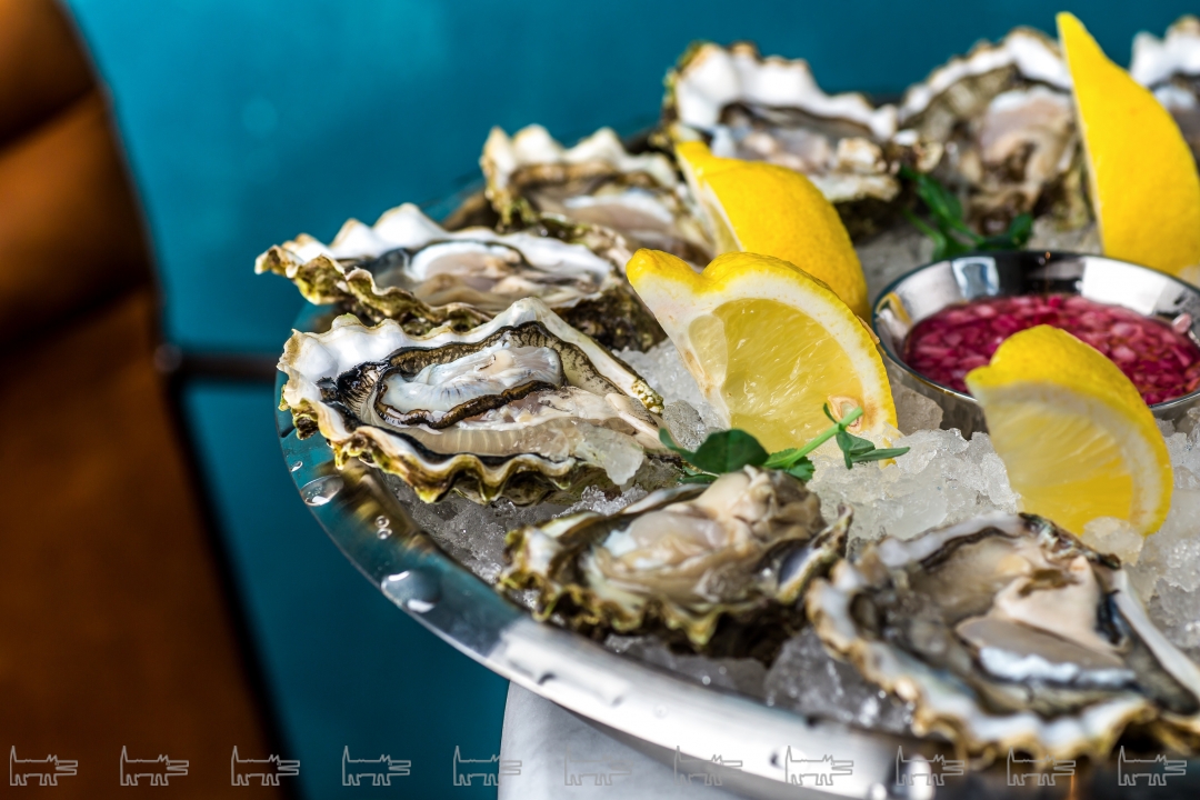 Дюжина устриц