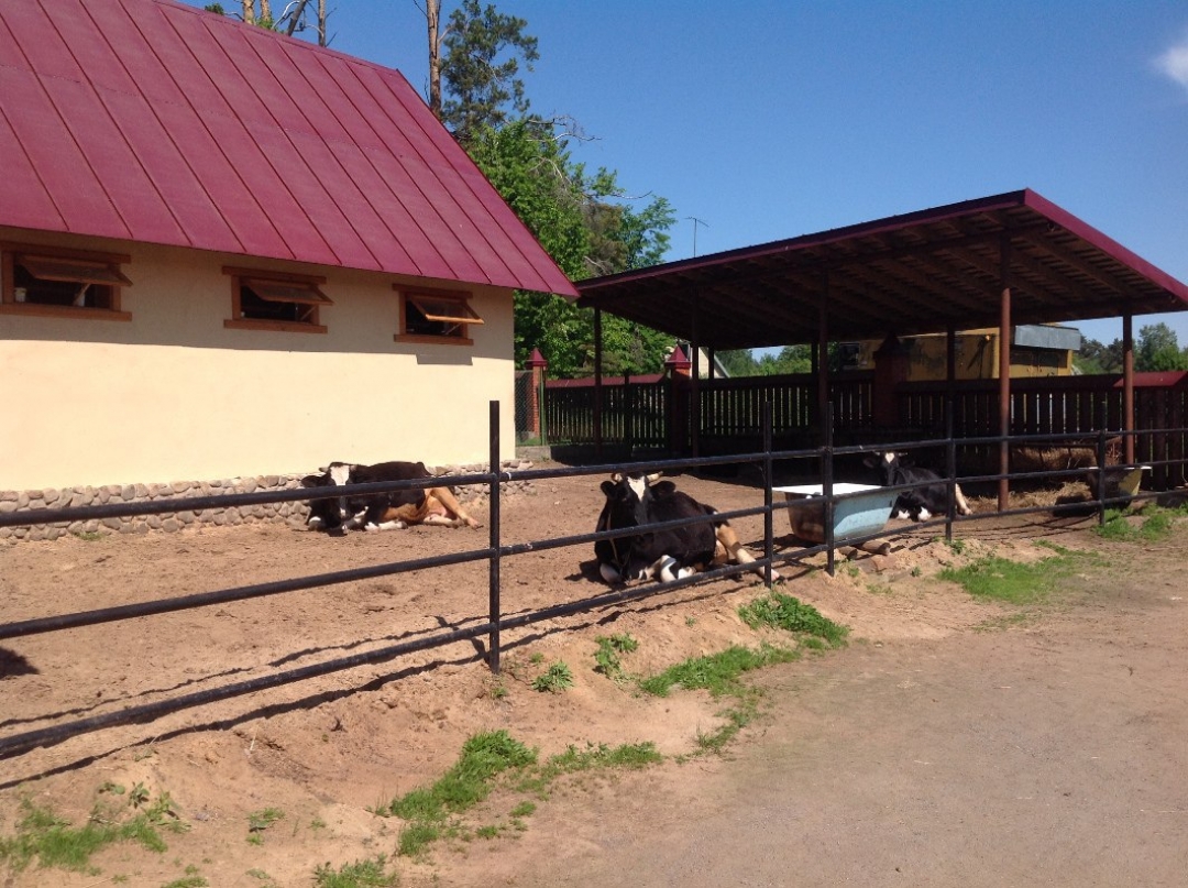 Женский реабилитационный центр Торфяное