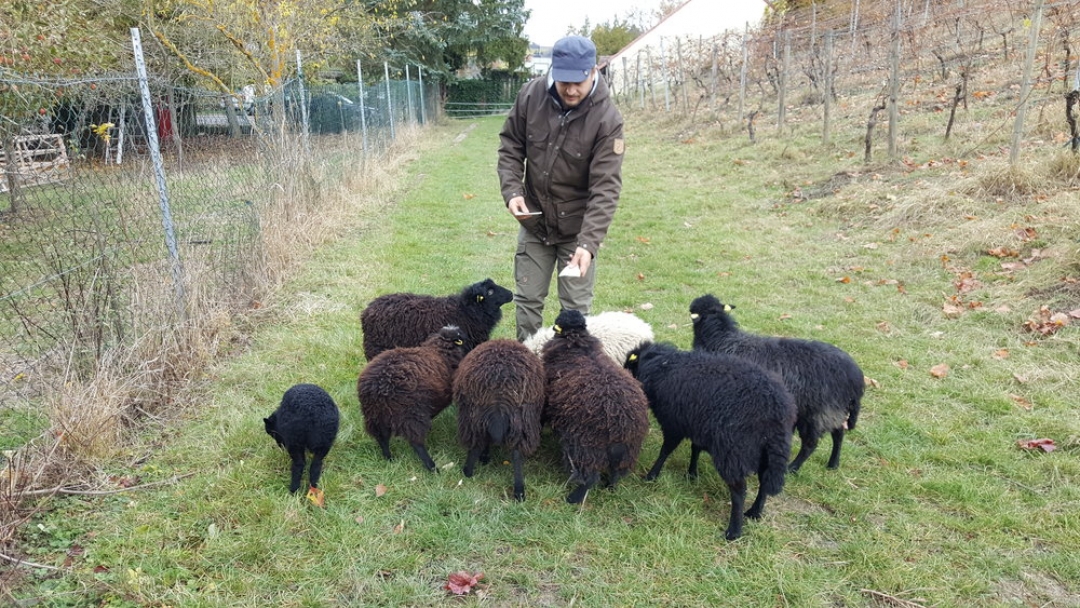 Михаэль Воелькер
