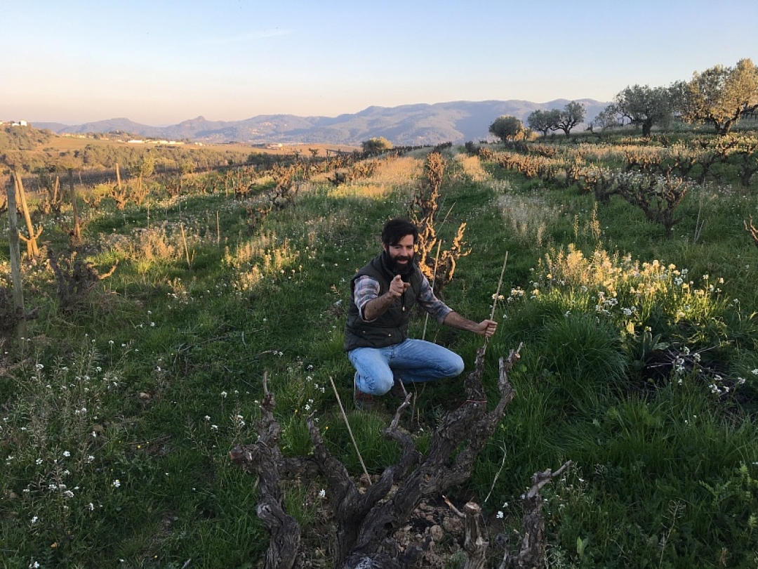 Рубен Парера