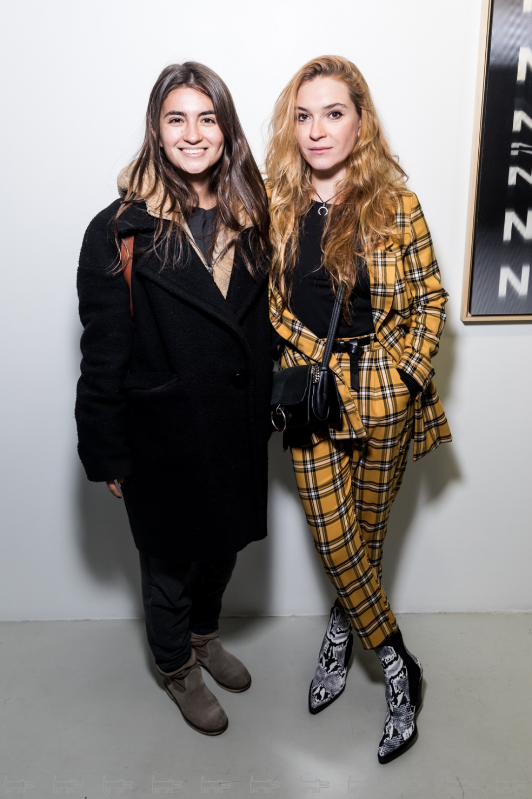 Рената Шульга