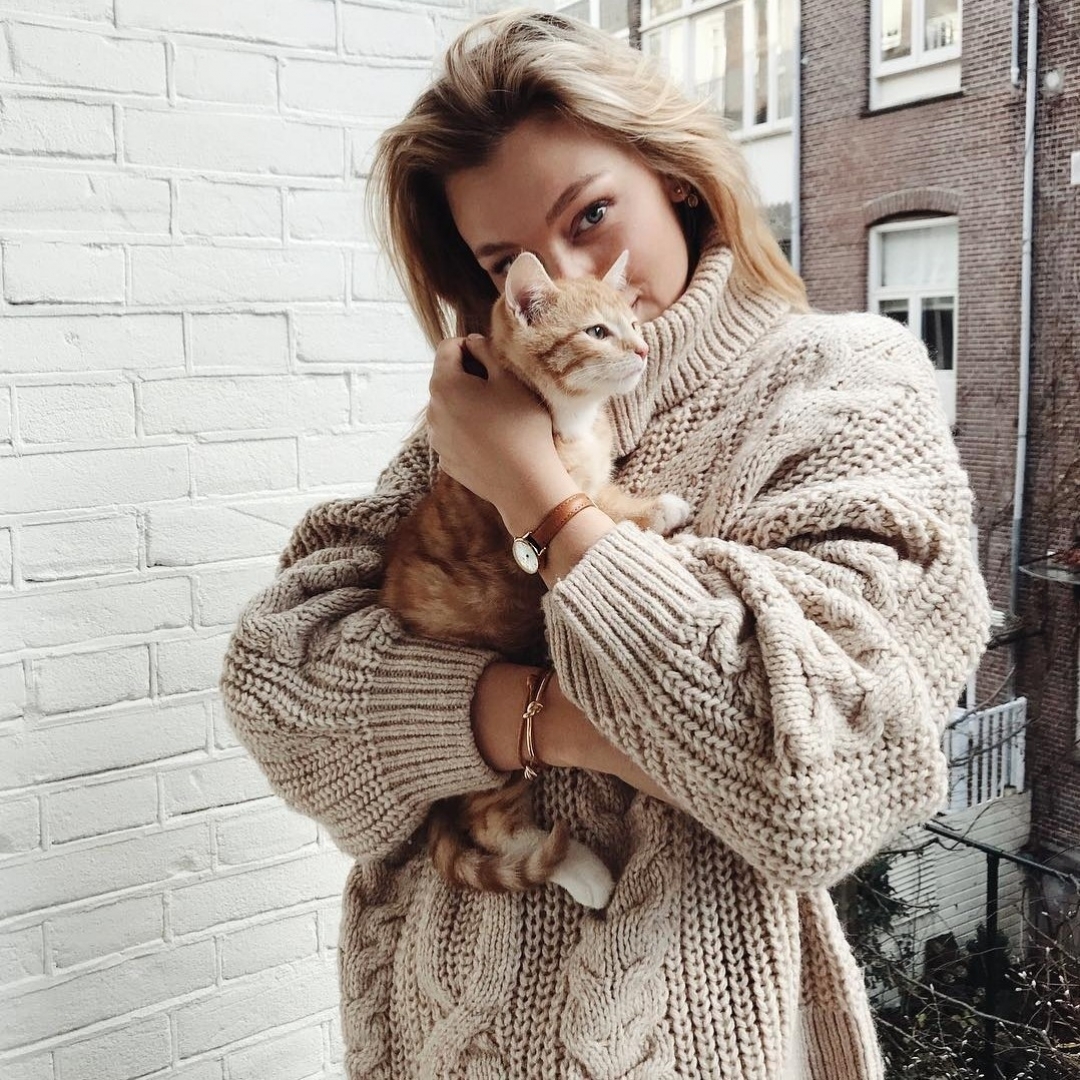 Фотосессия с кошкой в свитере